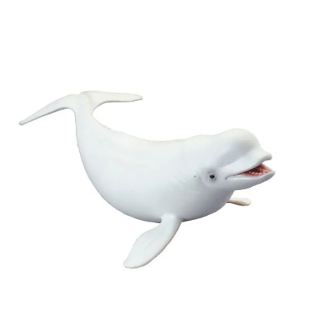Beluga Whale.jpg