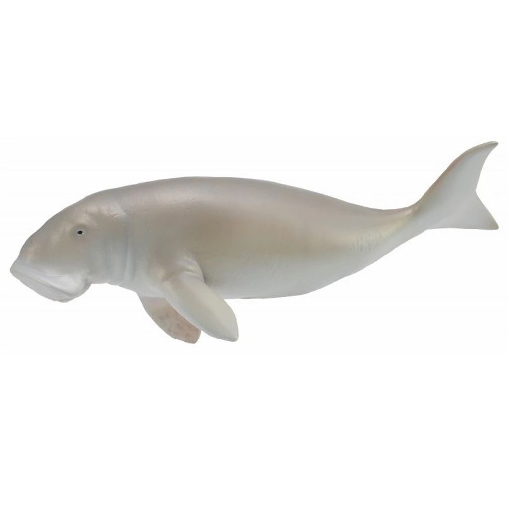 Dugong.jpeg