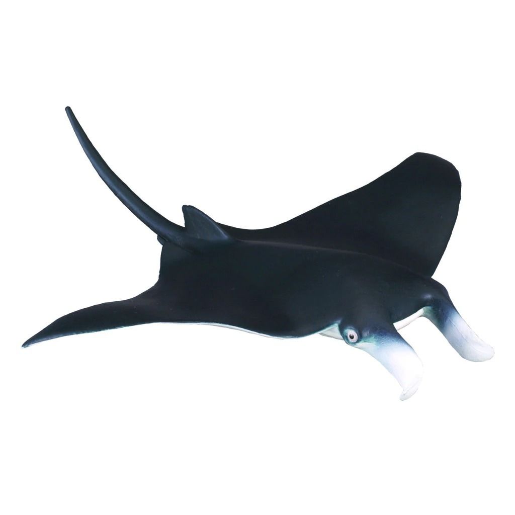 Manta ray.jpeg