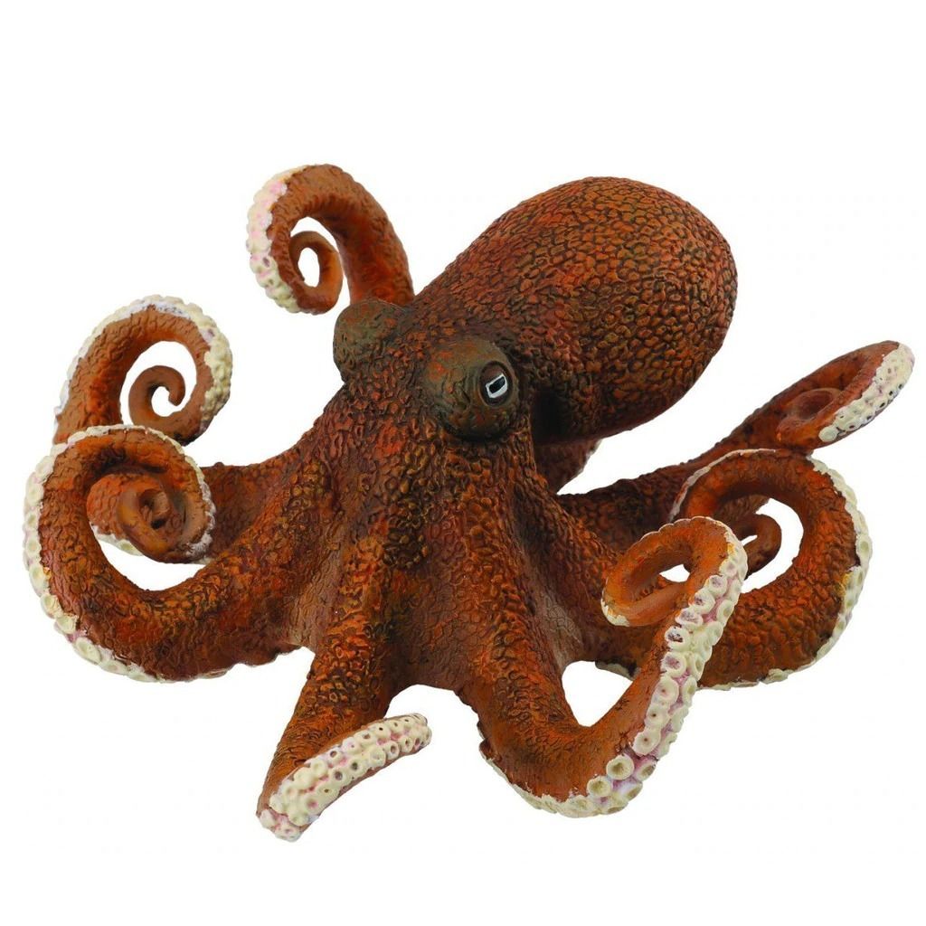Octopus.jpeg