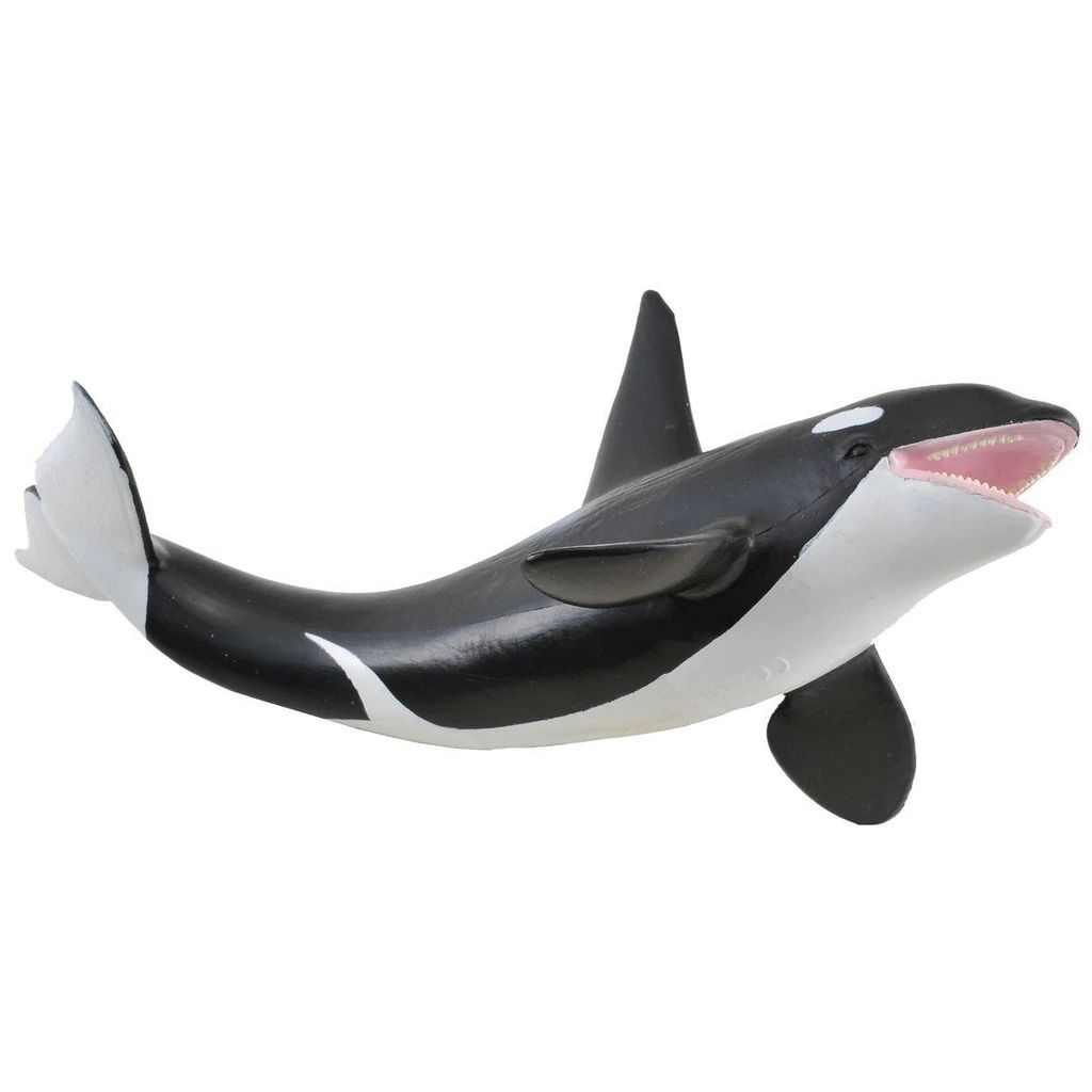 Orca.jpeg