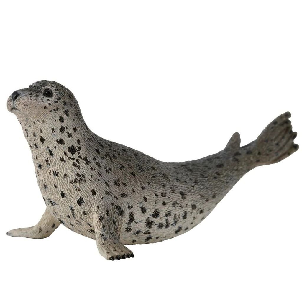 Spotted seal.jpeg