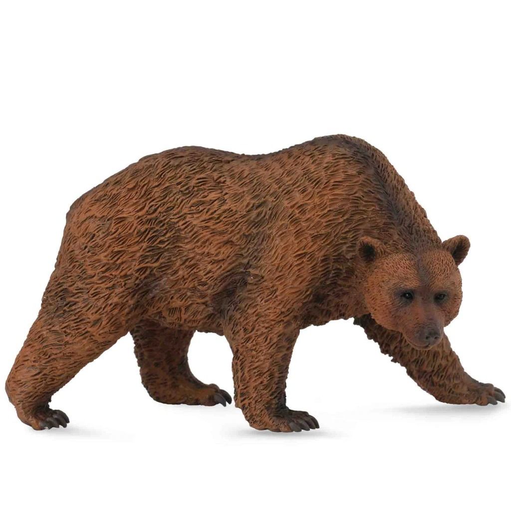 Brown Bear.jpeg
