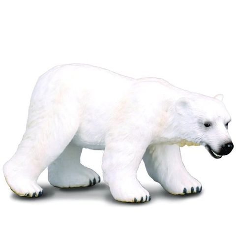 Polar Bear.jpeg