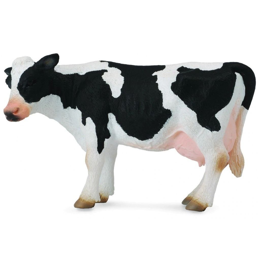 Cow.jpeg