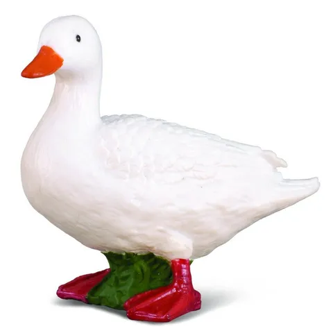 White Duck.jpeg