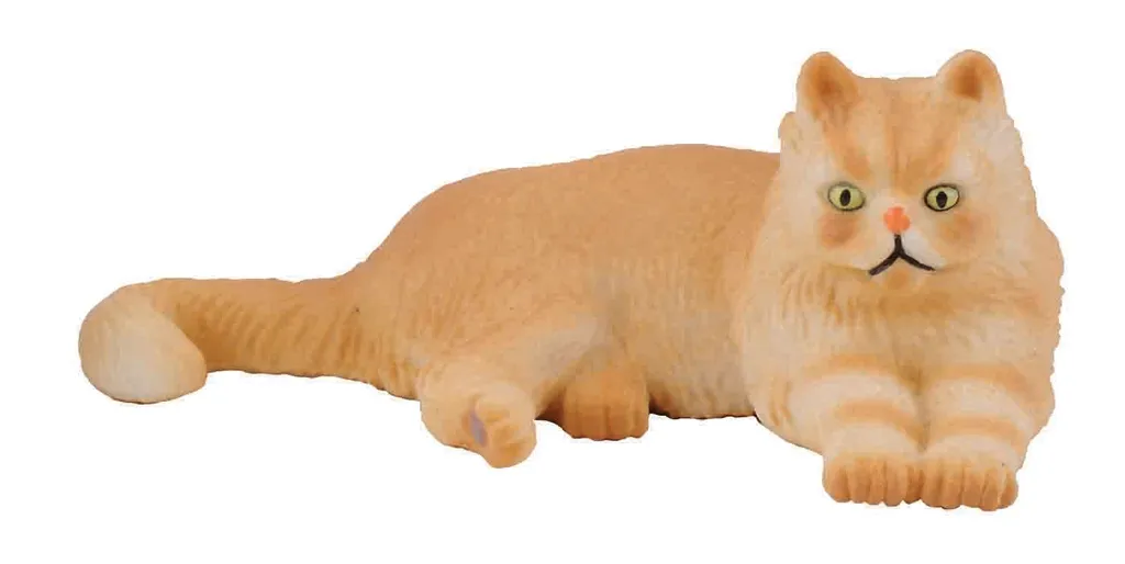 Persian Cat Lying.jpg