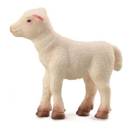 Lamb.jpg
