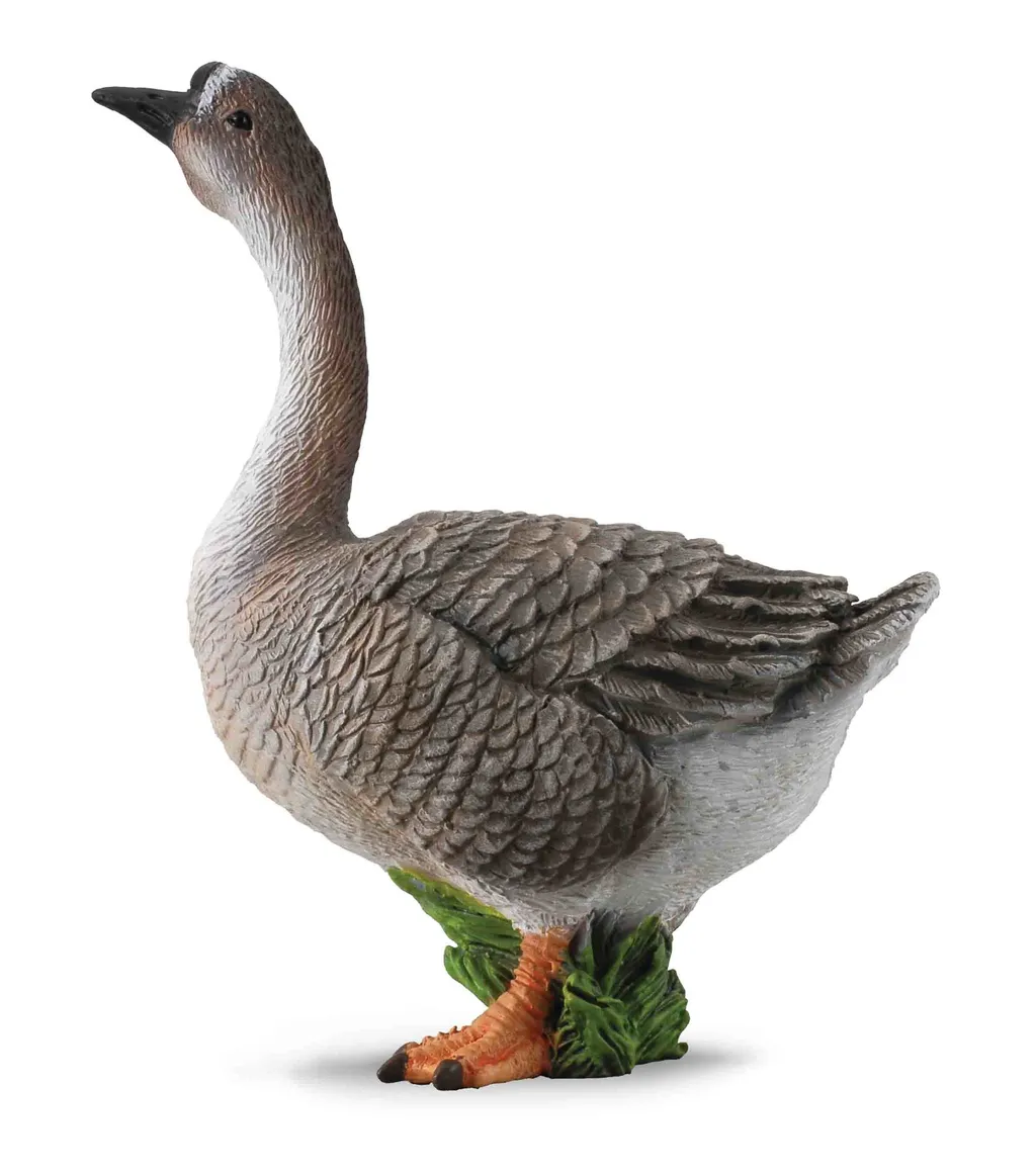 Goose.jpg