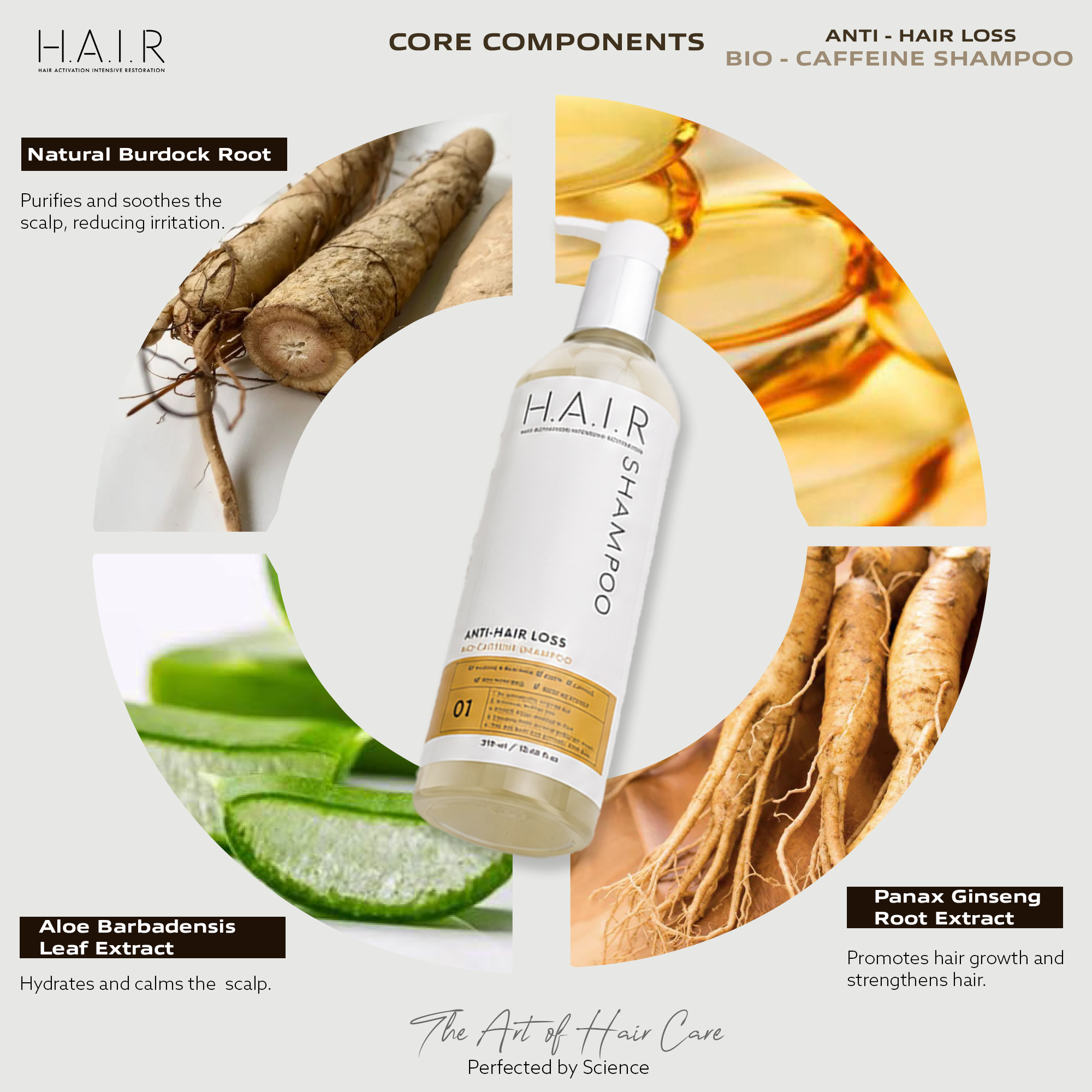 ANTI HAIR LOSS-05.jpg