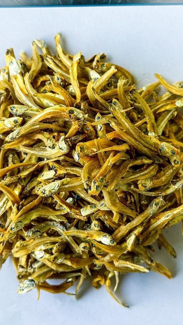 image_1AA5D4B5-5BD2-439A-B8F2-4D20474EDF2E_1755088945