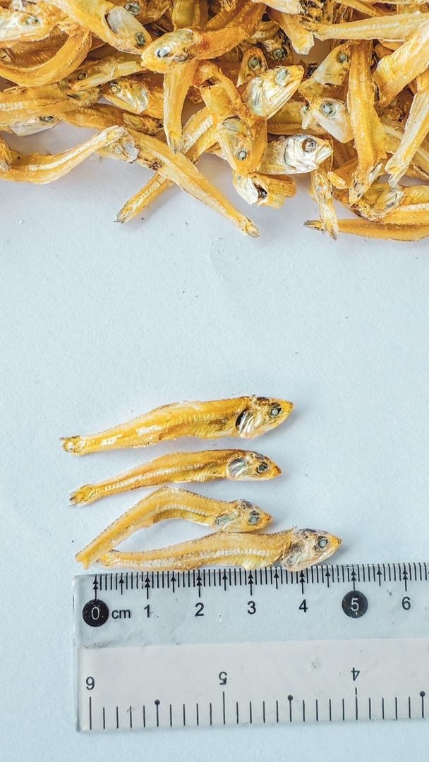 image_99EC16DA-CAAB-4A95-974F-6DBA4813B8D4_1755088945