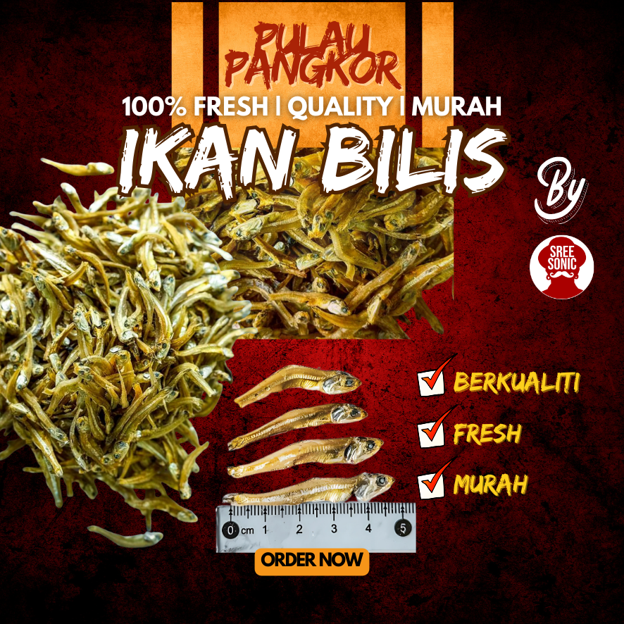 Copy of Red Modern Delicious Burger Sale Poster (16)