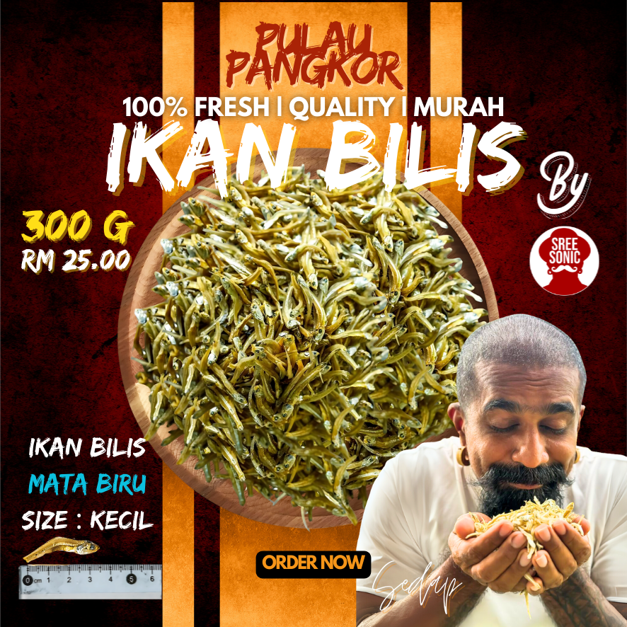 Copy of Red Modern Delicious Burger Sale Poster (15)