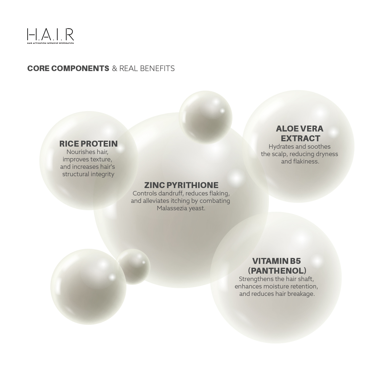 DANDRUFF CONTROL - CORE COMPONENTS