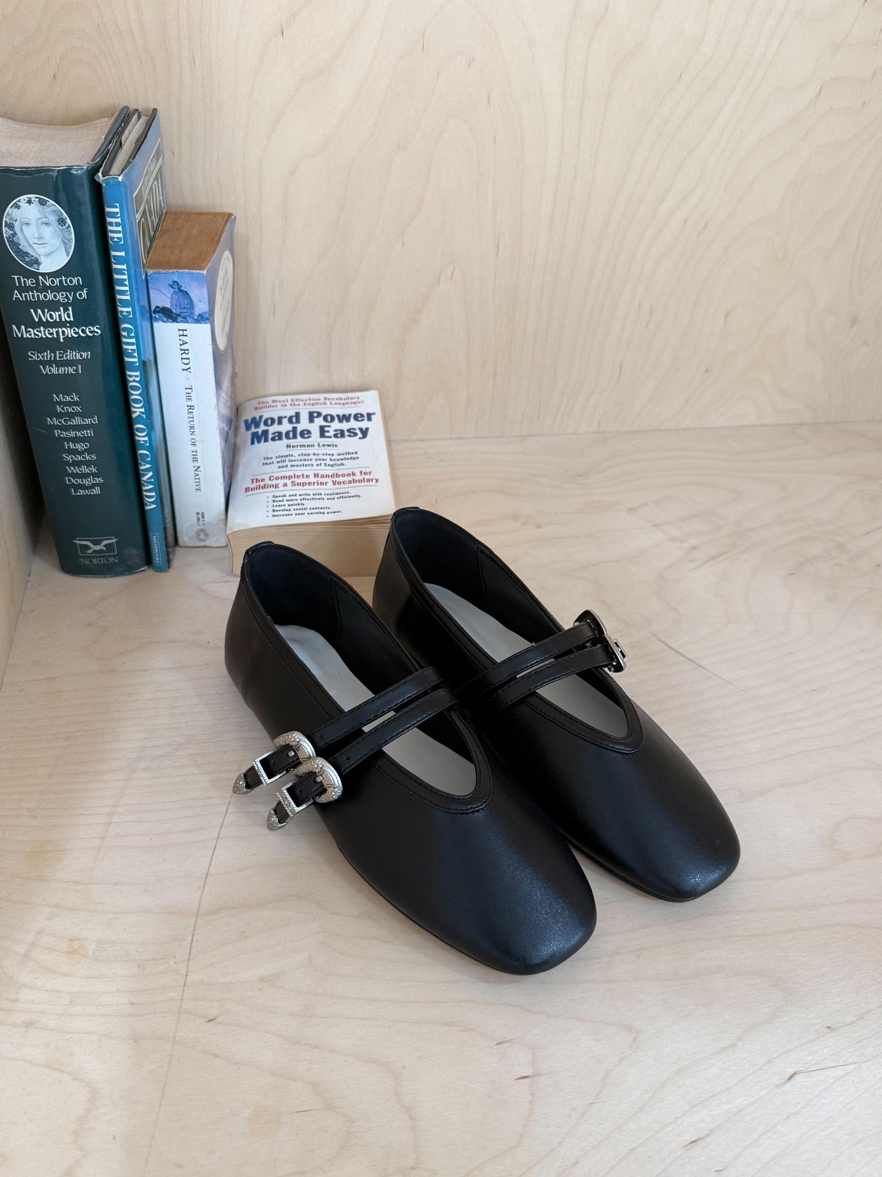 image_1B1A4493-75FC-4C15-A87C-AB6581626EDD_1760540416