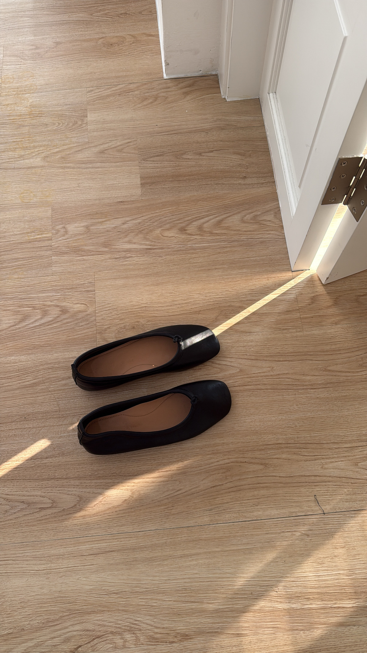 image_52E14A56-27E2-4077-A37F-3B1C8C1B359C_1760540909