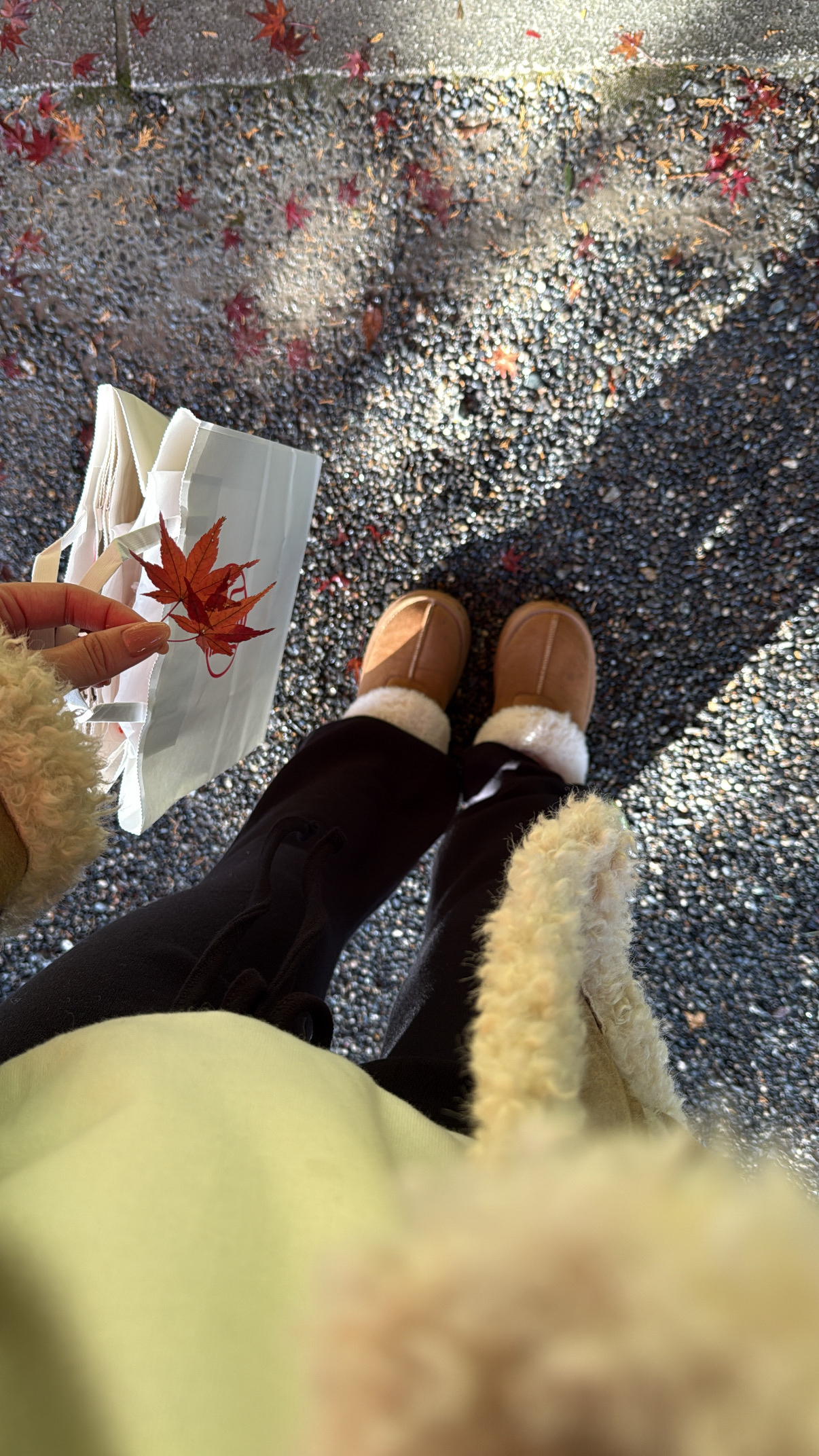 image_069D7C23-23A1-44C7-BF37-89522D61D3D3_1766582490