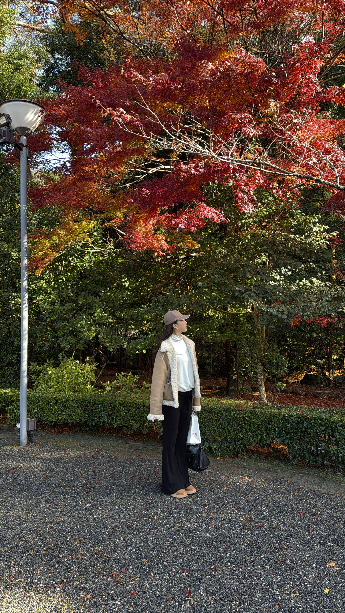 image_356CCD88-1439-46D5-BB89-6183CEA916CE_1766582565