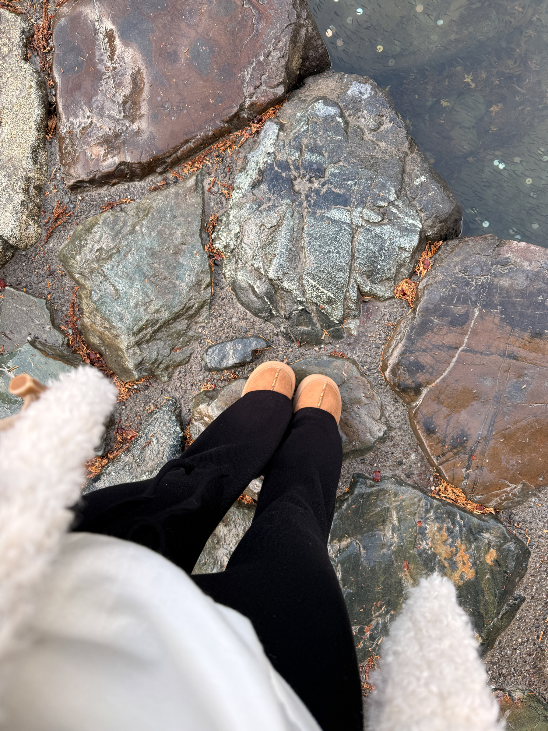 image_2D558B88-CD9D-4BC5-BD94-B8C07F92A34A_1766582567