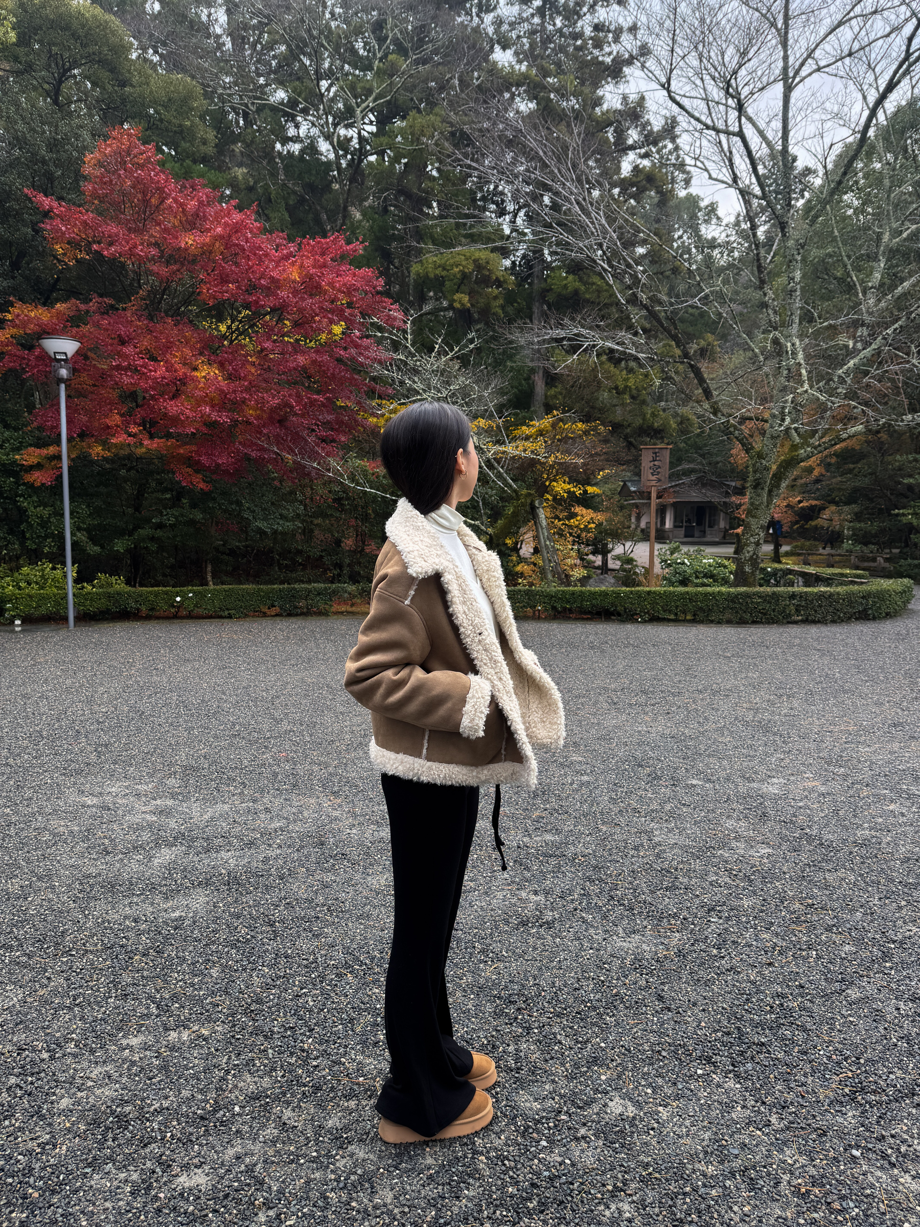 image_F3B54822-C050-429B-9949-AEED894F2EAF_1766582567