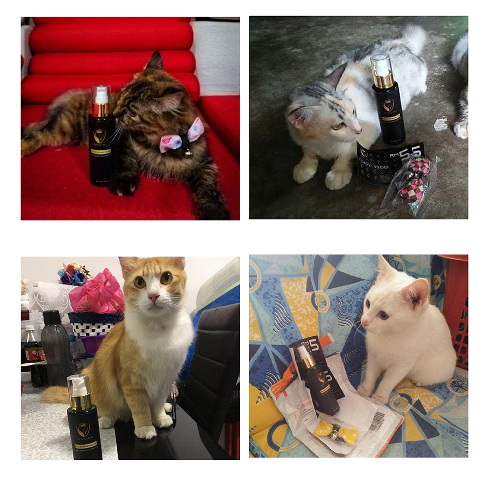TESTIMONI2.png