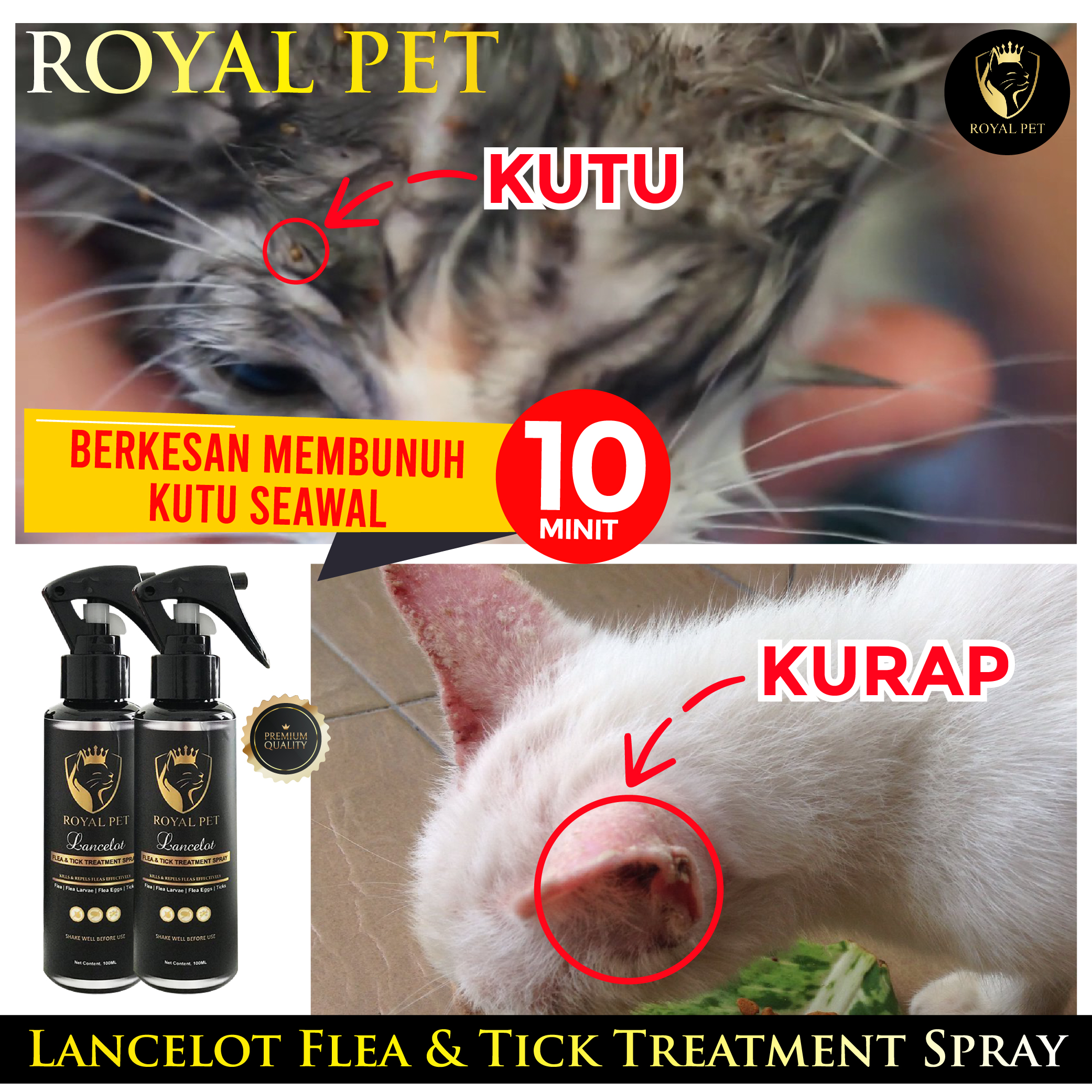 spray kutu 01-02-02.jpg spray kutu 01-02-02.jpg