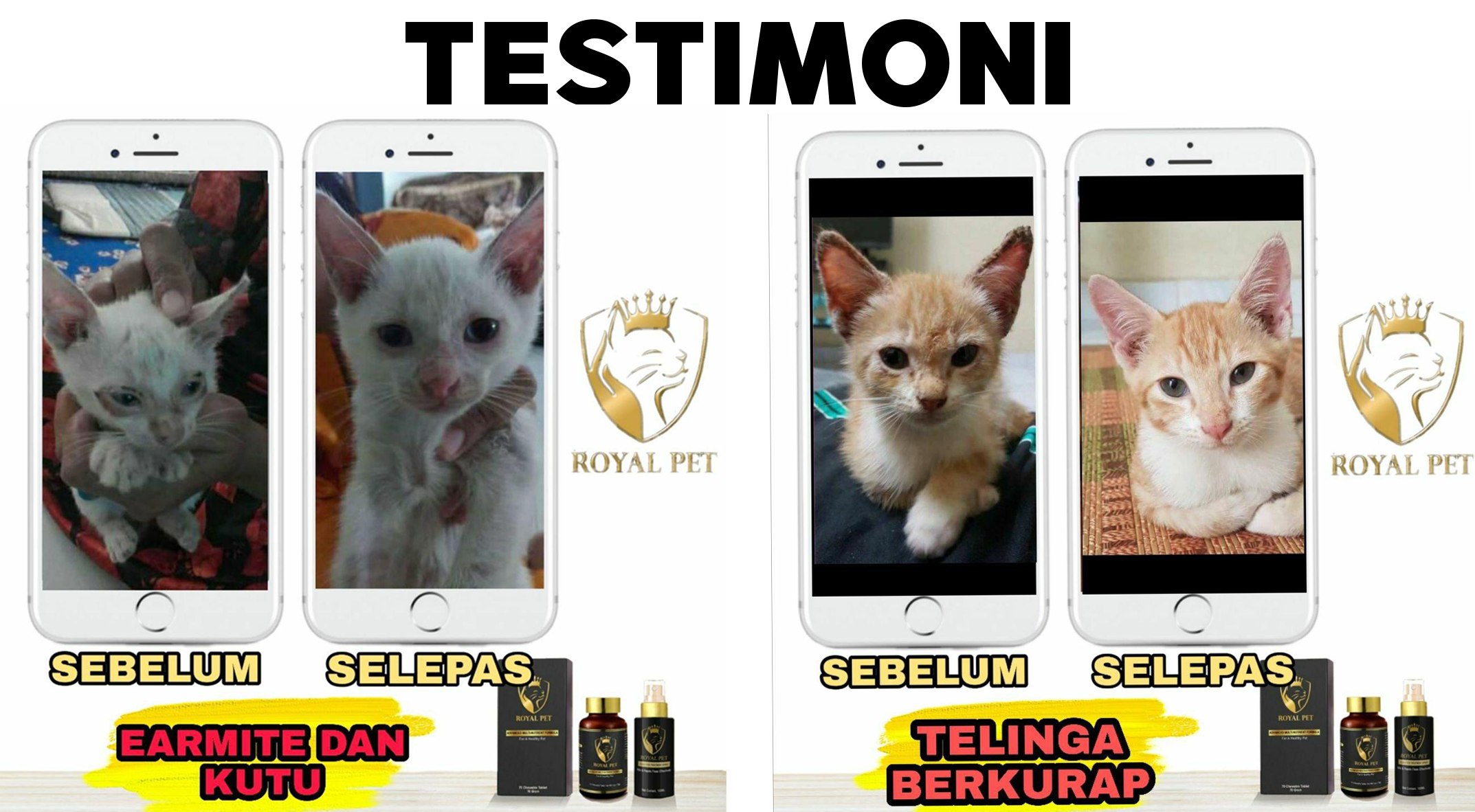 testimoni3.png