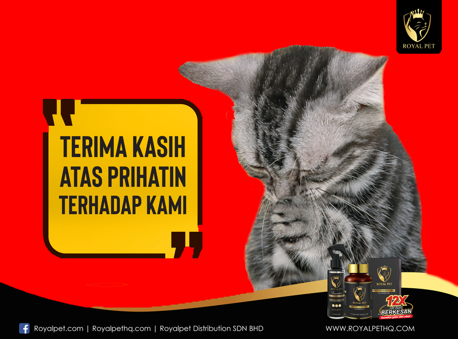 kucign prihatin.png