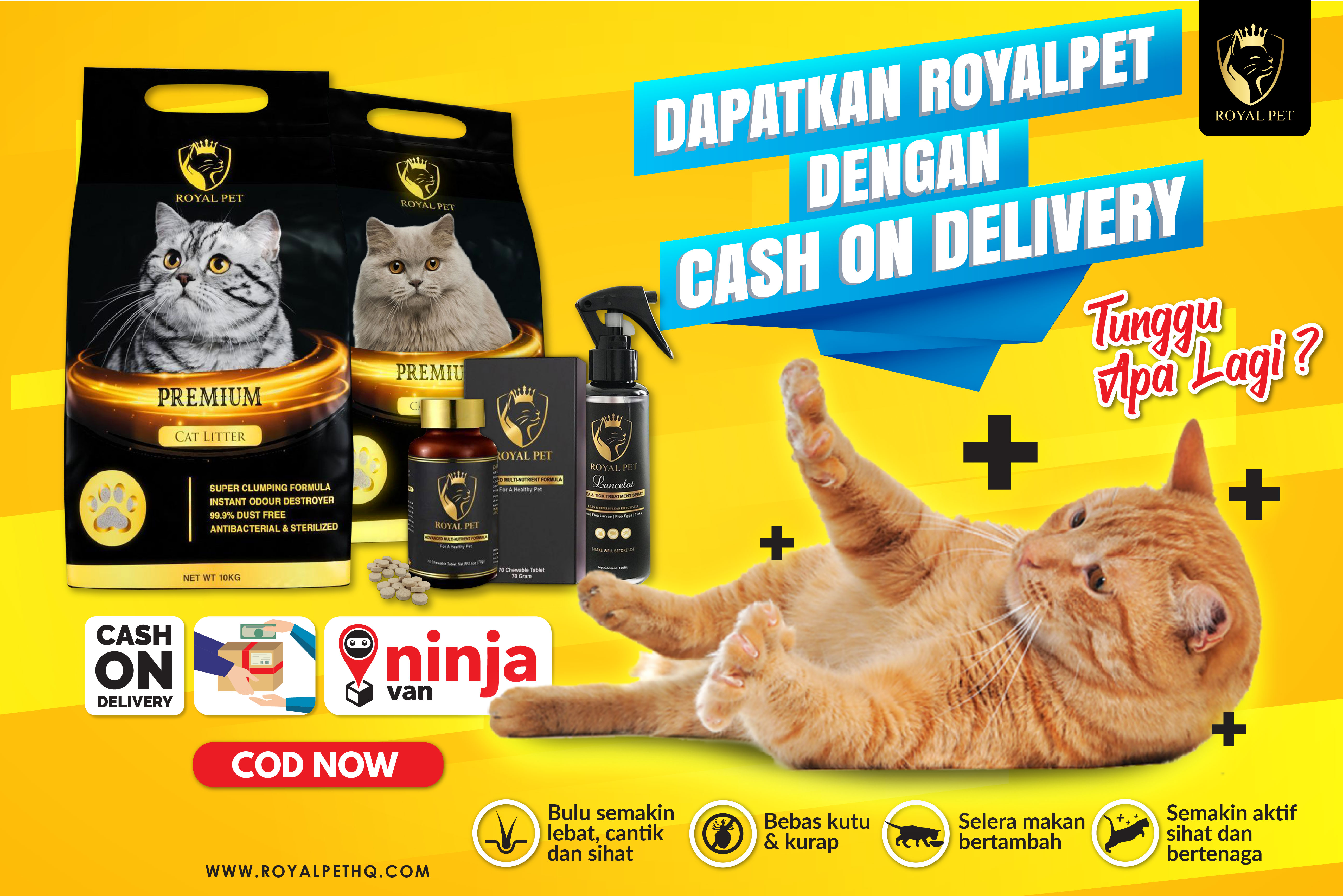 poster COD-02 (6).jpg