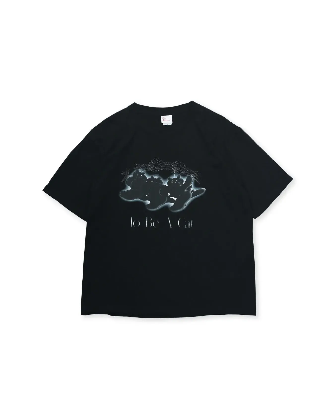 1.CAT