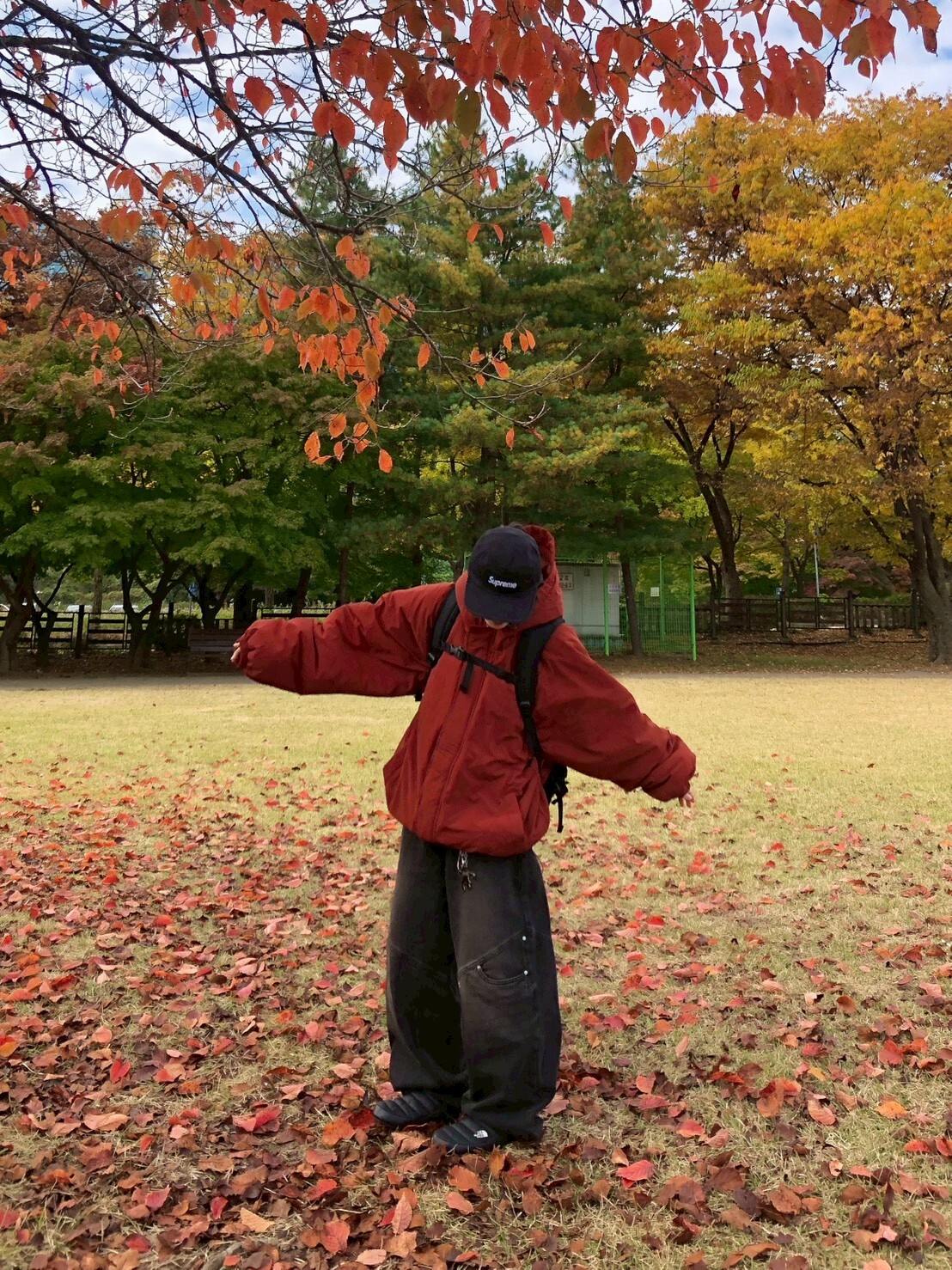 LINE_ALBUM_20251218_251218_11