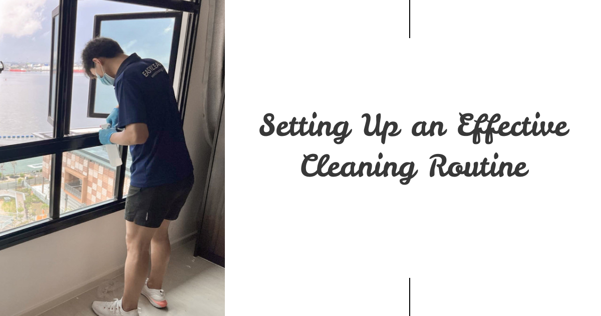 Setting Up an Effective Cleaning Routine