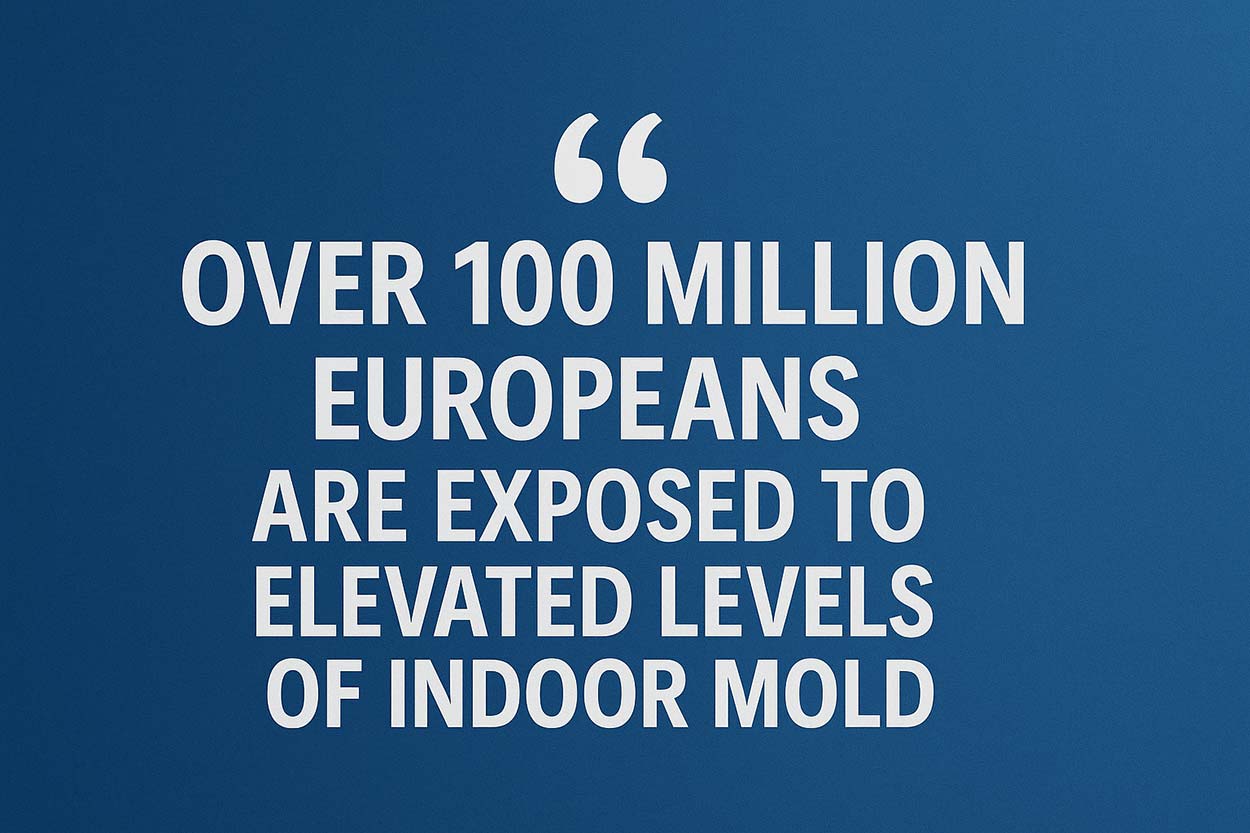 Mold Removal From Walls in Singapore