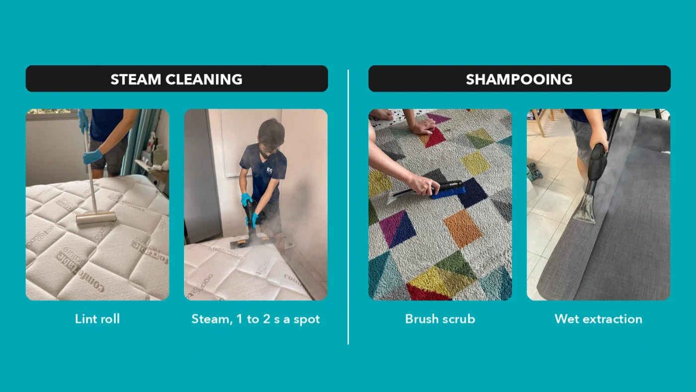 Steam Clean Sofa or Shampoo It? Which Your Sofa Needs | EasyClean SG