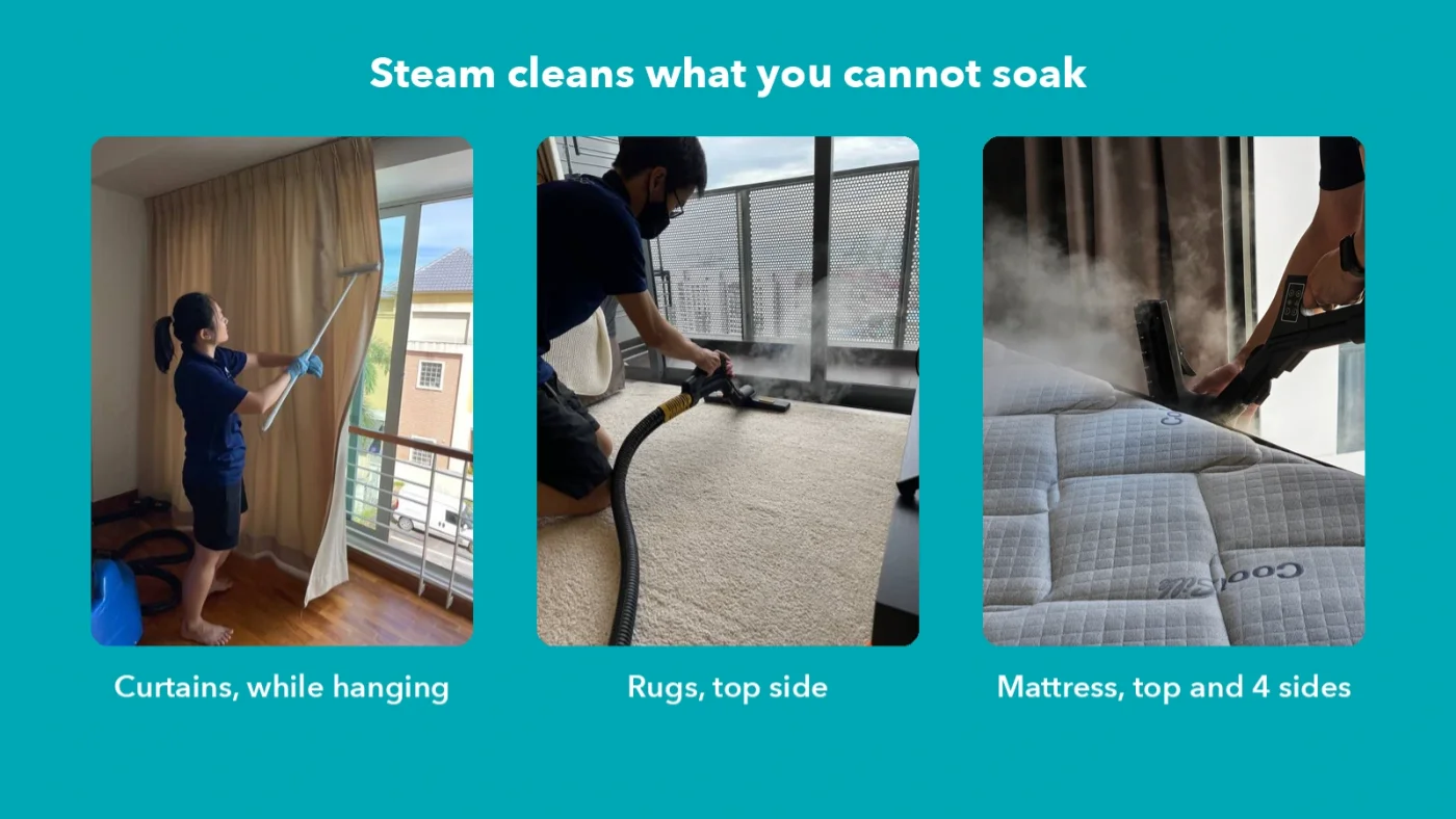 Steam clean sofa or shampoo it?