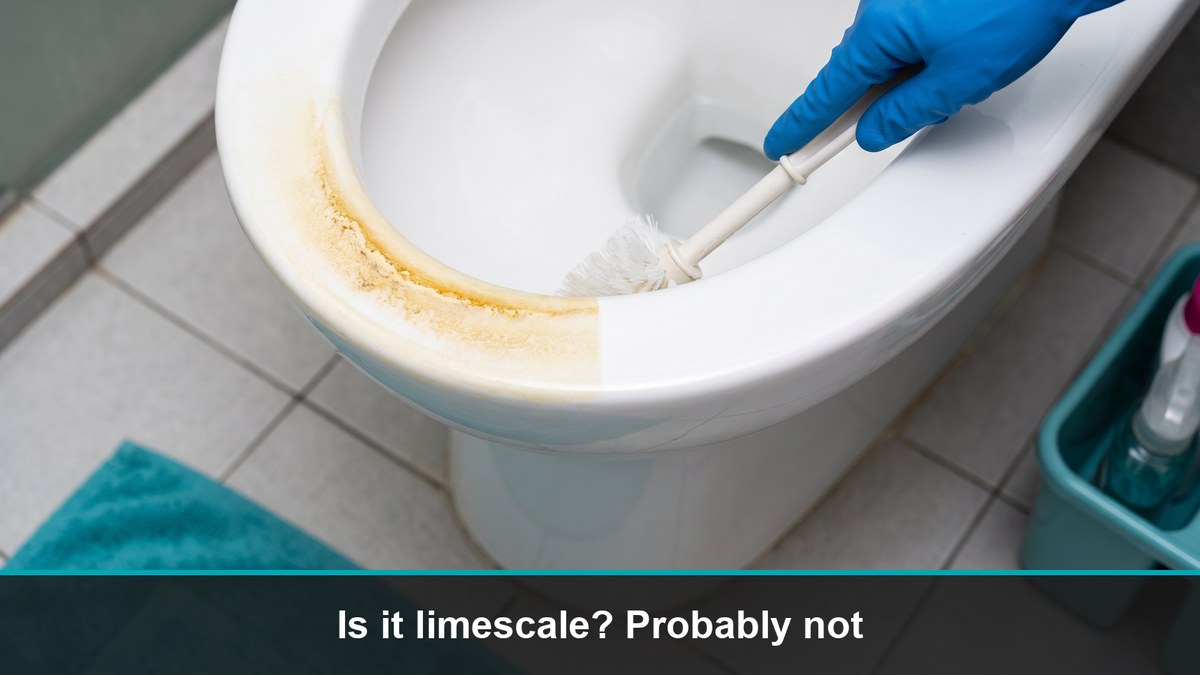 Toilet Deep Cleaning Singapore: Limescale or Urine Stain?