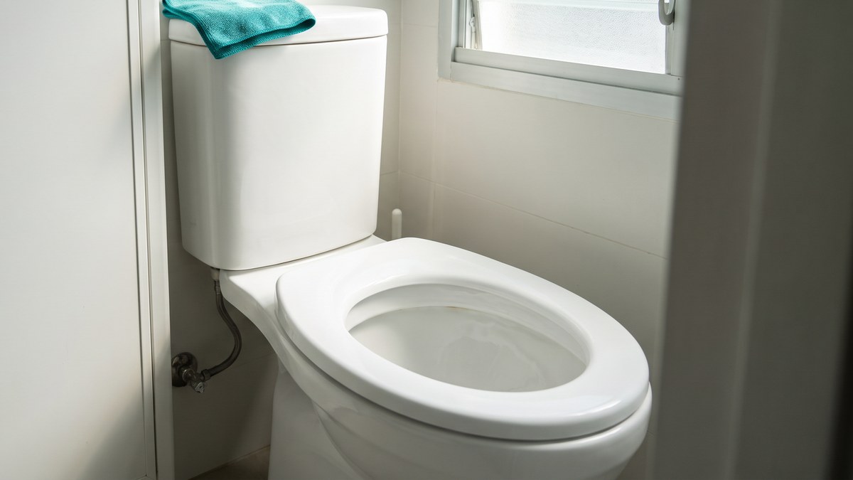 Toilet deep cleaning - quick overview