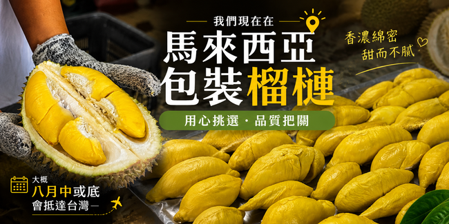 木春記 |  - 