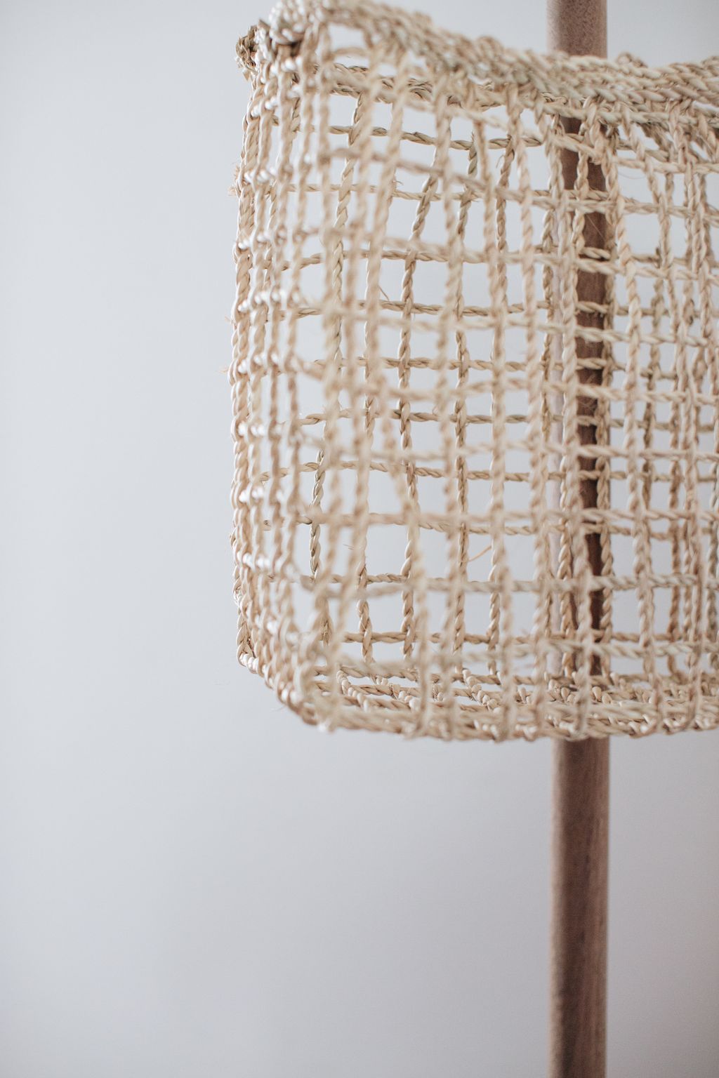 20260317-Sunshinephoto-188