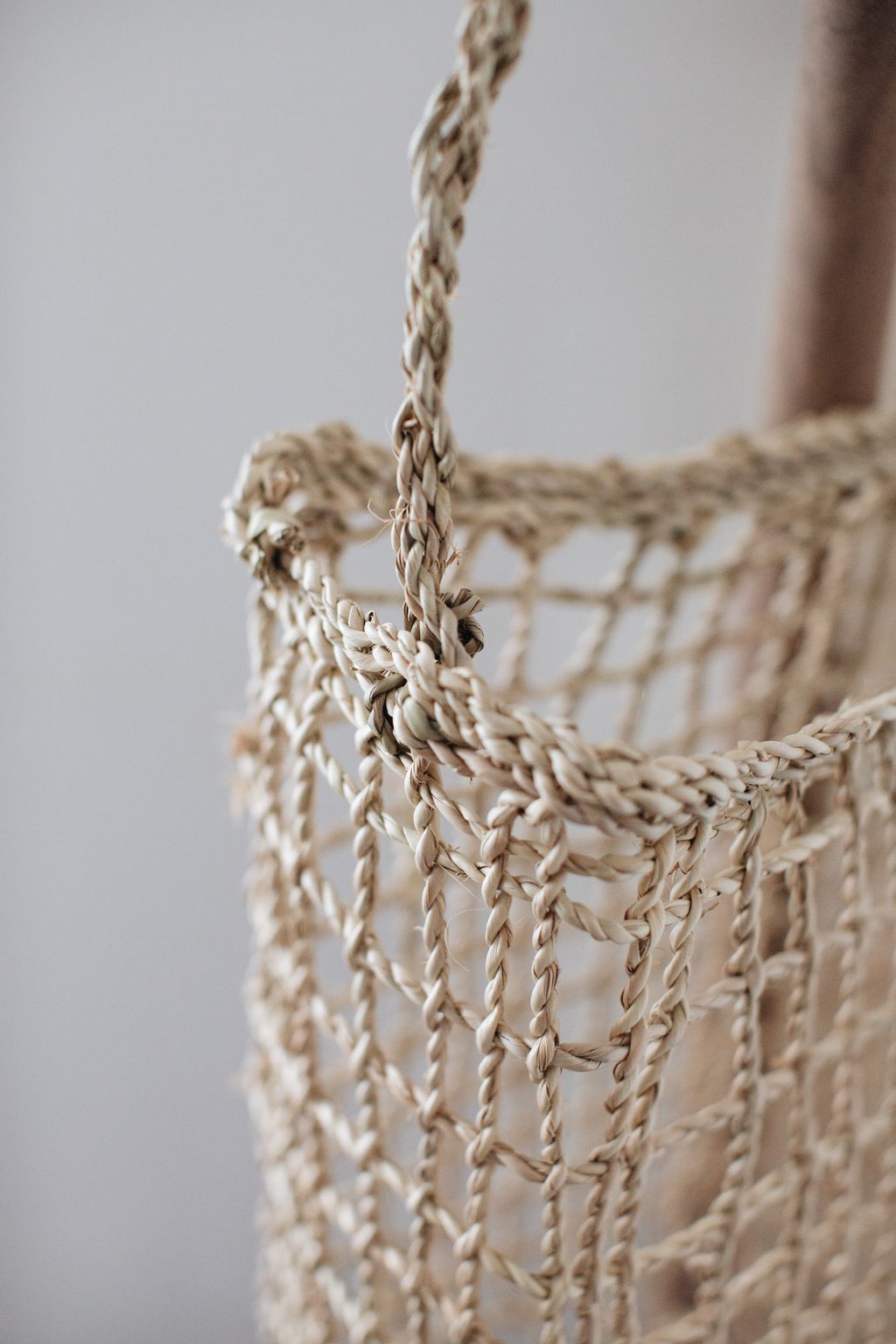 20260317-Sunshinephoto-187