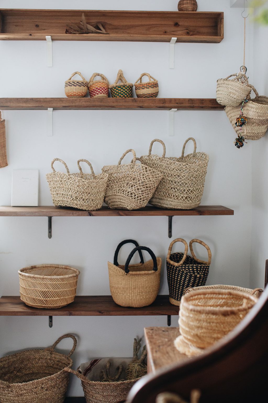 20260317-Sunshinephoto-17