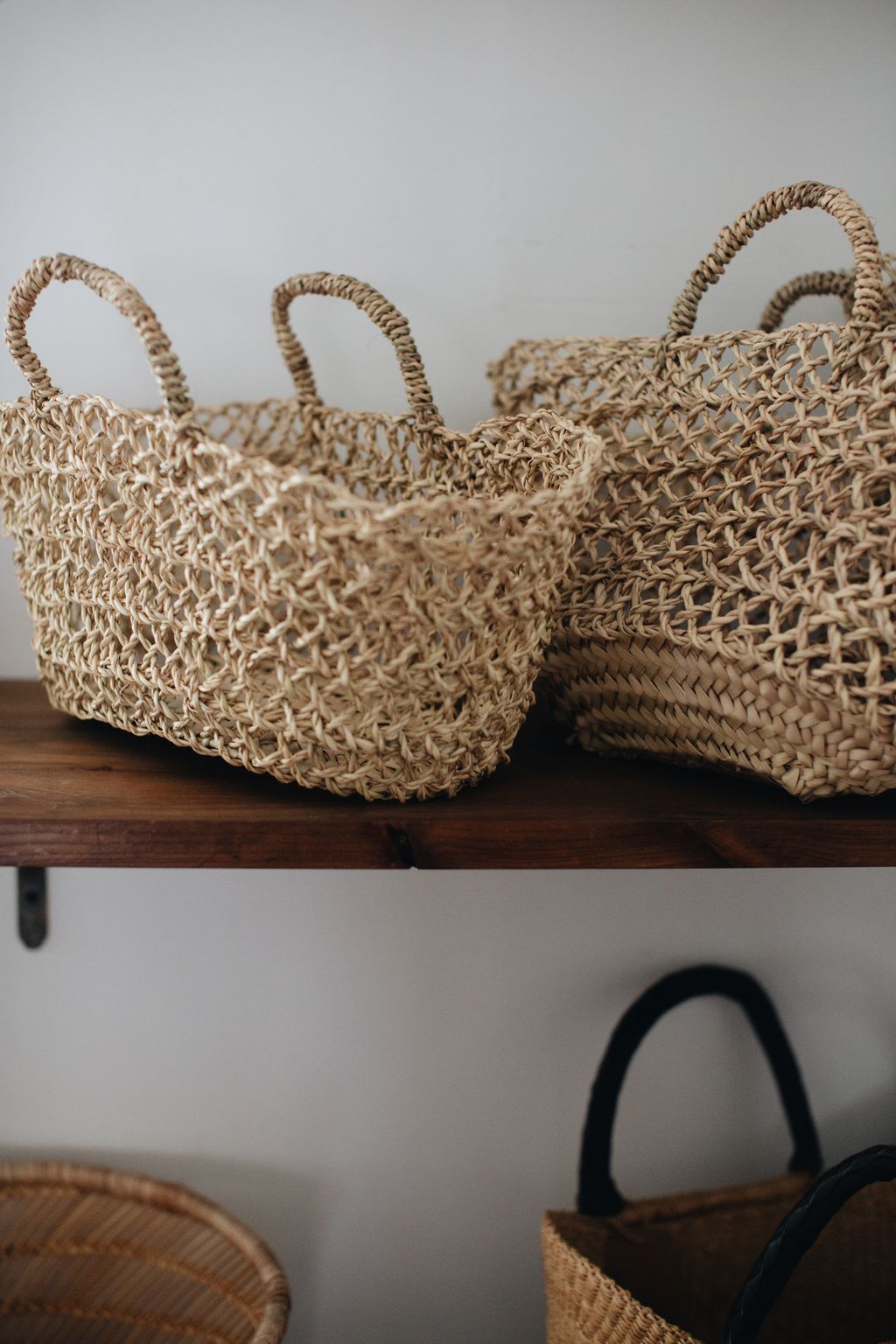 20260317-Sunshinephoto-18