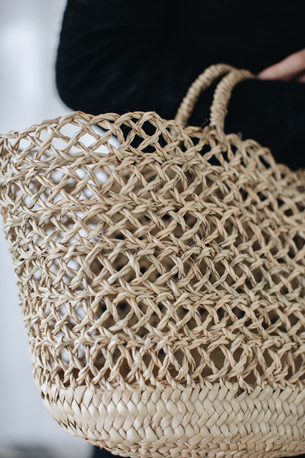 20260317-Sunshinephoto-121