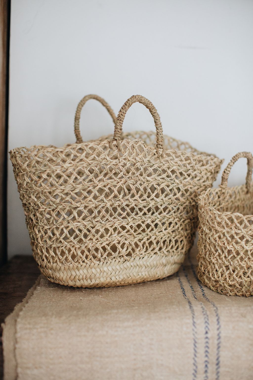 20260317-Sunshinephoto-131