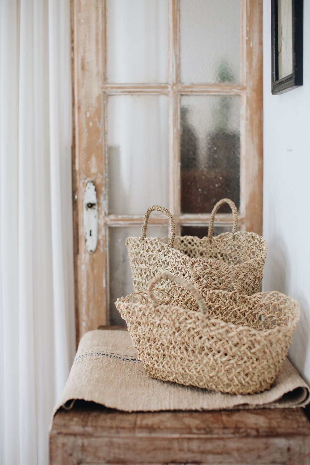 20260317-Sunshinephoto-135