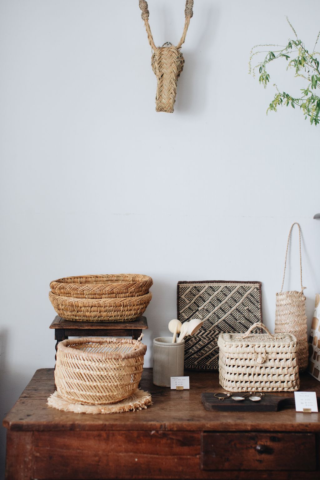 20260317-Sunshinephoto-15