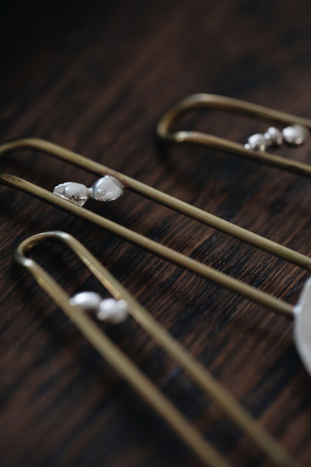 20260317-Sunshinephoto-169