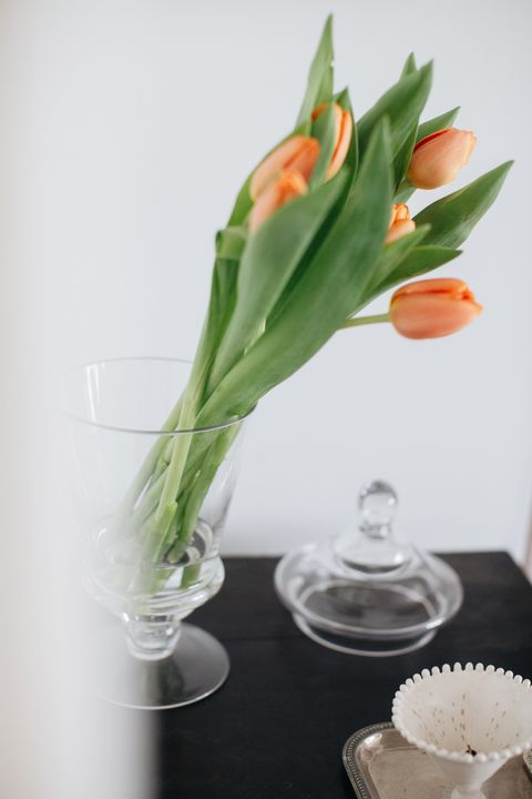 20260317-Sunshinephoto-32