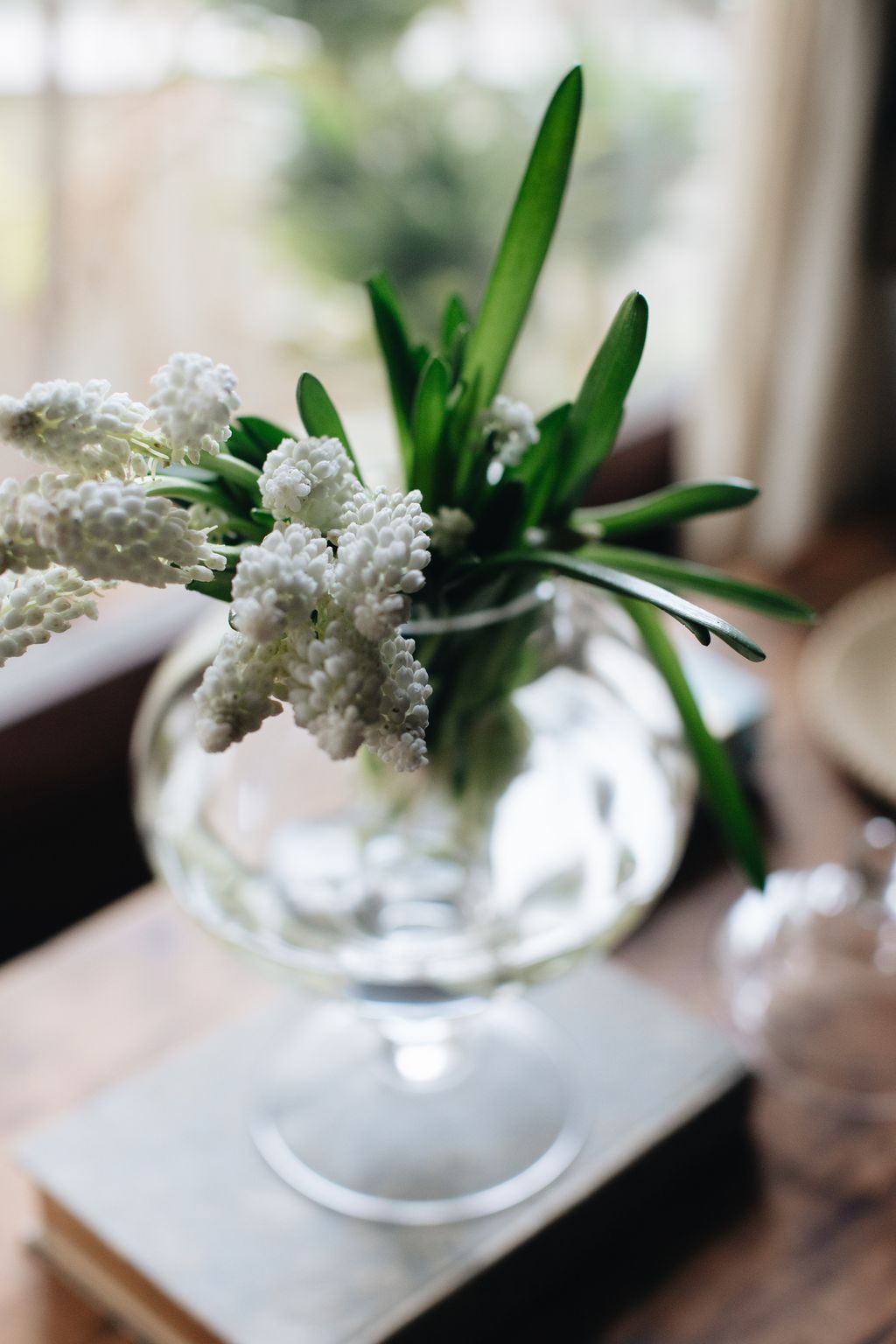 20260317-Sunshinephoto-5